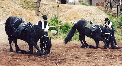 Beide knien